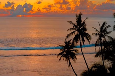 Nuestras playas favoritas de Oaxaca